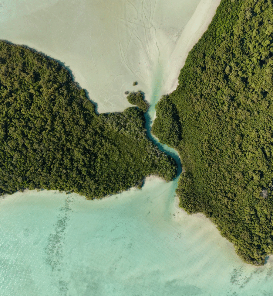 Isla Tamalcab