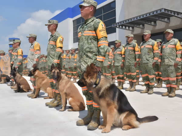 Perros rescatistas mexicanos en Venezuela