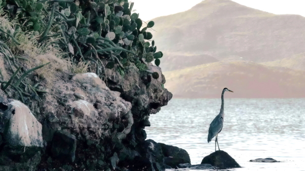 bahía de ohuira en sinaloa