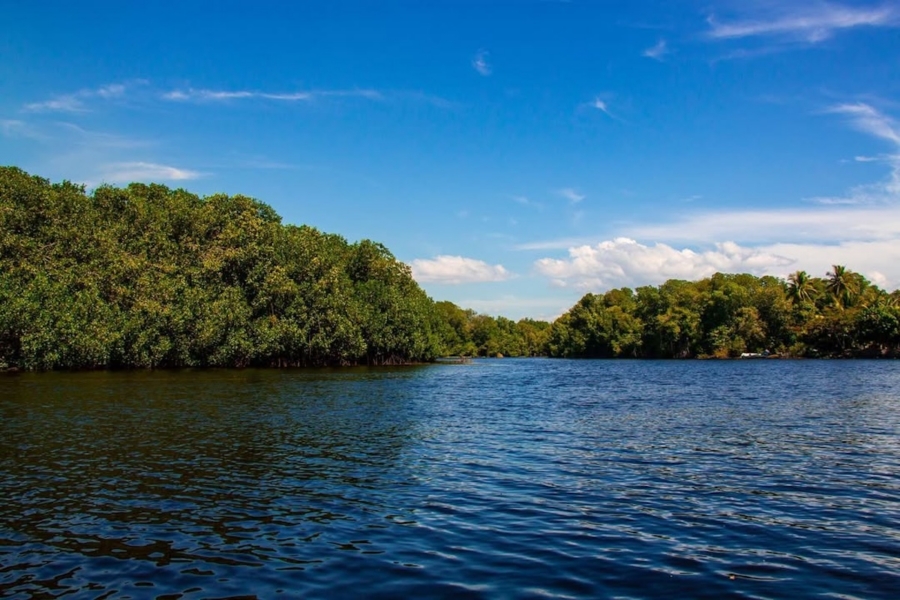 estero el chupadero tecomán en colima