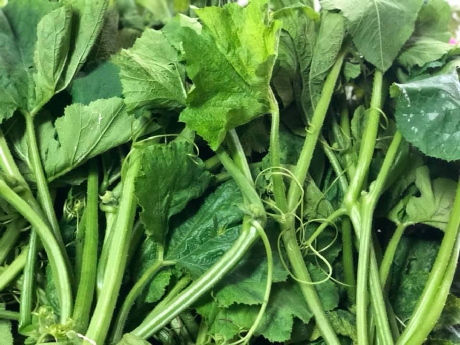 Las guías son los tallos y retoños tiernos de la planta de la calabaza. Facebook Corredor Oaxaqueño Market.