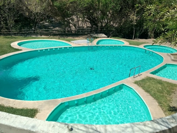 Las Tortugas