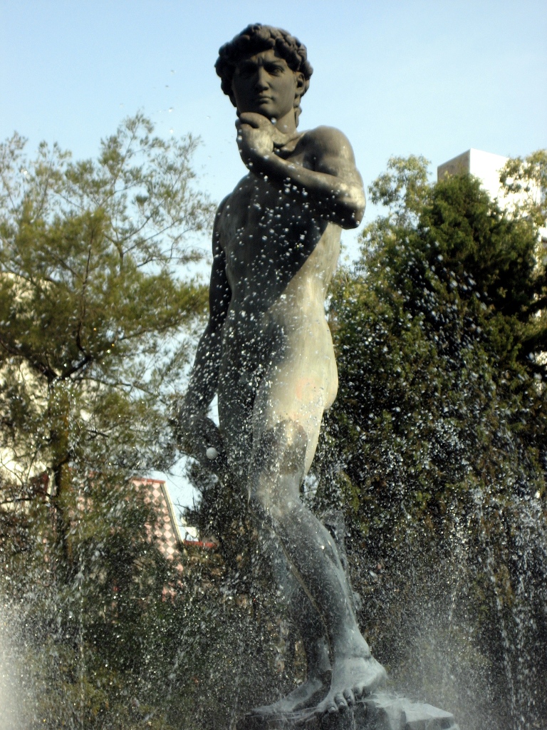 David de la colonia Roma
