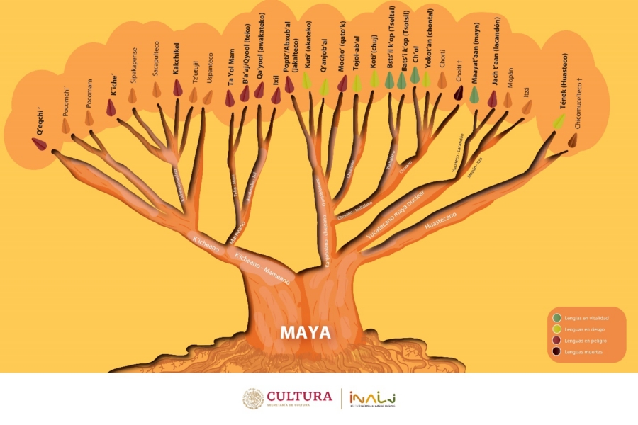 palabras de origen maya
