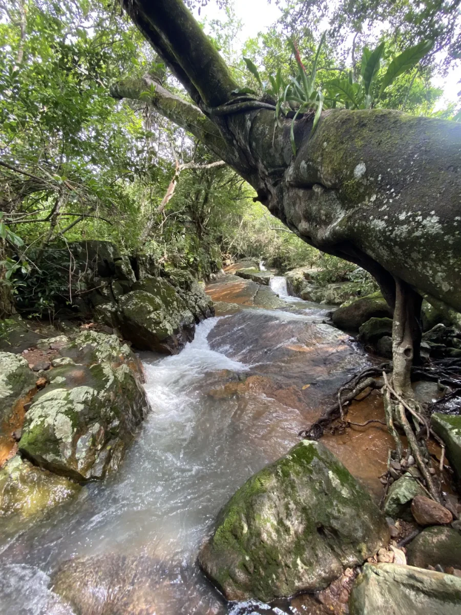 cañón del diablo en nayarit