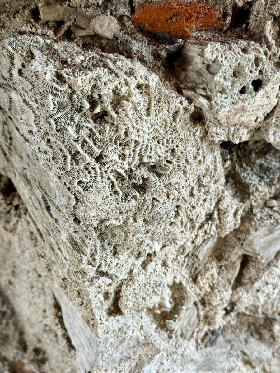 Uno de los aspectos más sorprendentes de la construcción es que gran parte de sus muros se levantó utilizando piedra coralina extraída de los arrecifes cercanos. Facebook ViajerAgs.