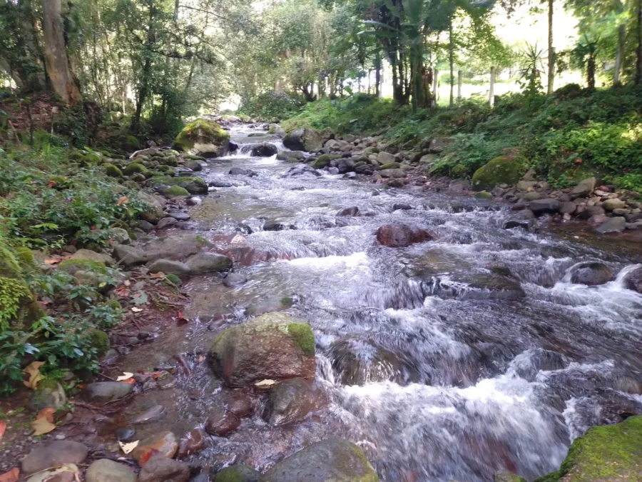 río pixquiac en veracruz