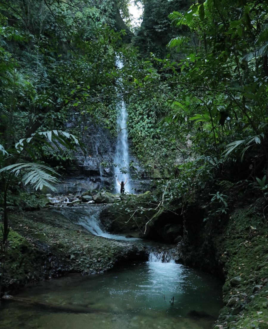 cascadas de Agua Selva