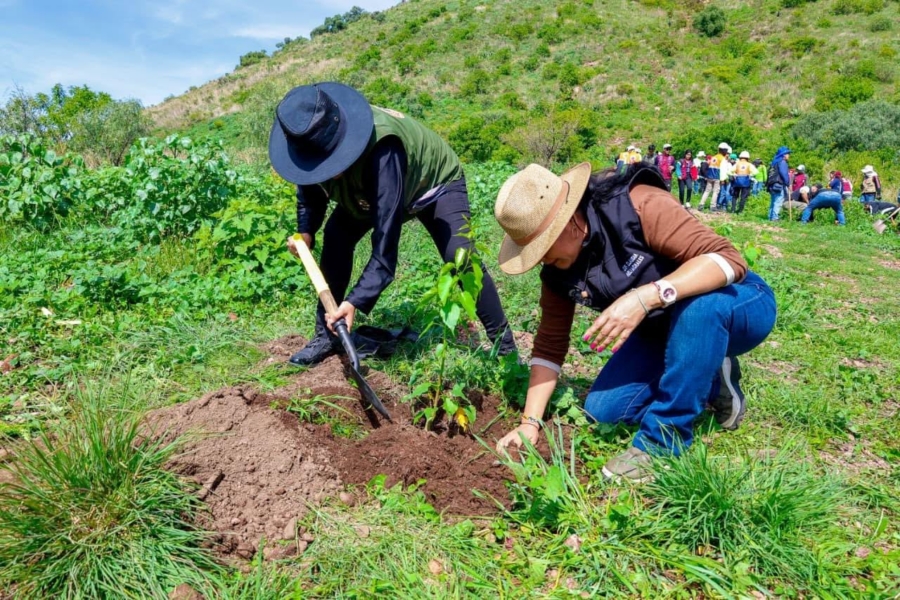 Jornada nacional de reforestación 2026