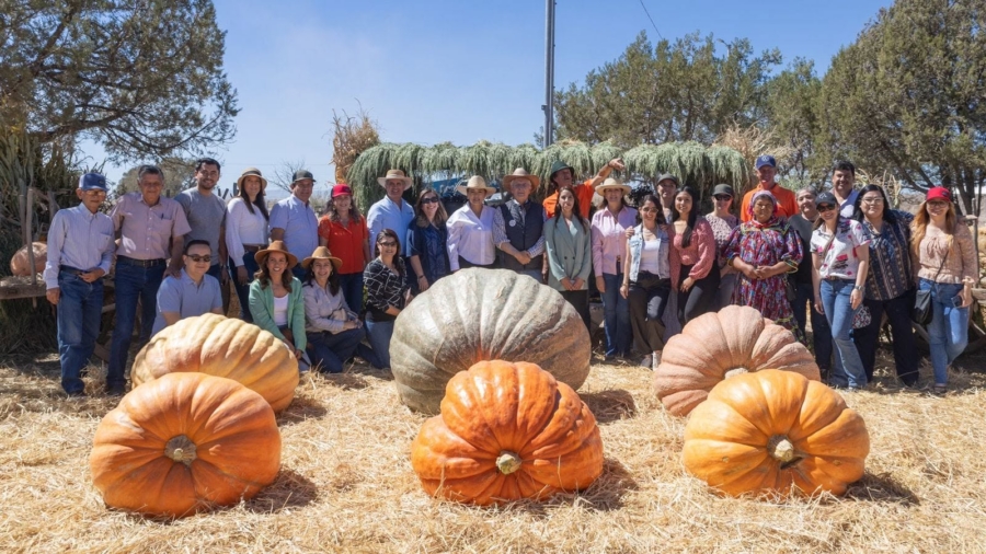 festival de la calabaza en chihuahua