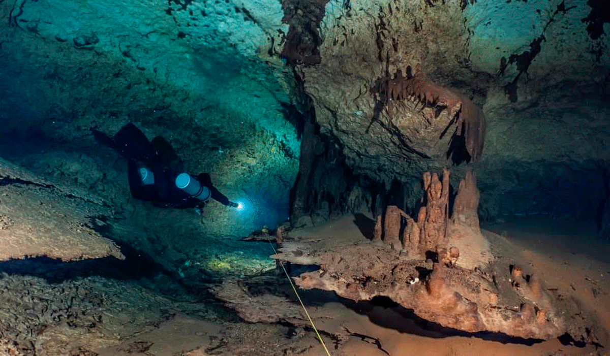 El Aerolito, la cueva submarina de Cozumel donde habitan especies únicas