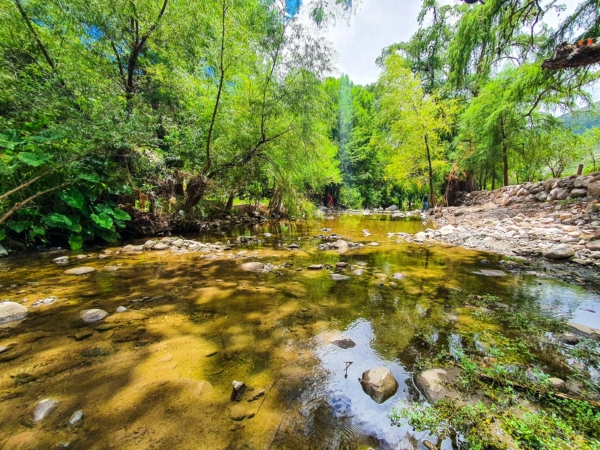 panales en tolimán, Querétaro