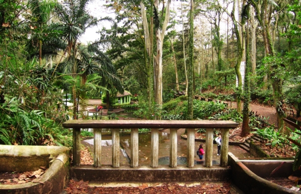 parque los tecajetes en xalapa