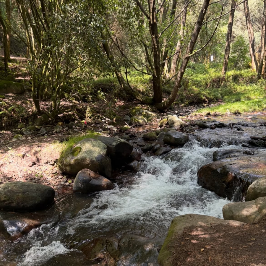río magdalena en la CDMX, uno de los lugares para visitar en cdmx en lluvias