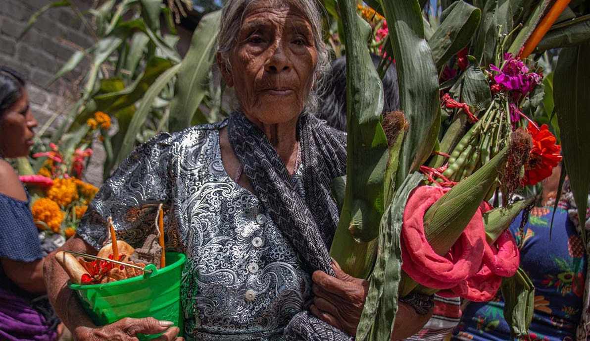 Elotlamanaliztli, la ofrenda para agradecer y celebrar al maíz tierno