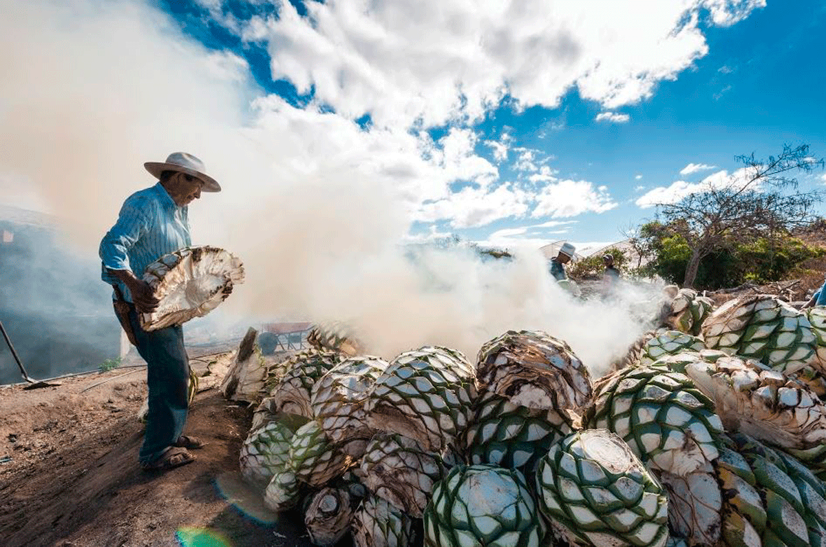 Ruta del Mezcal Puebla