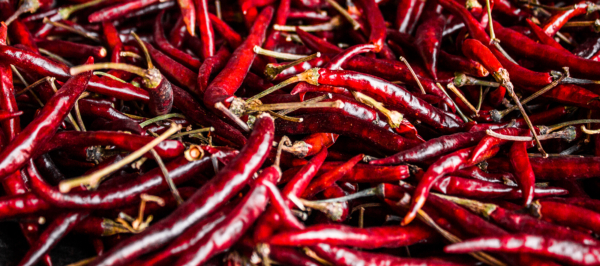 Chile yahualica