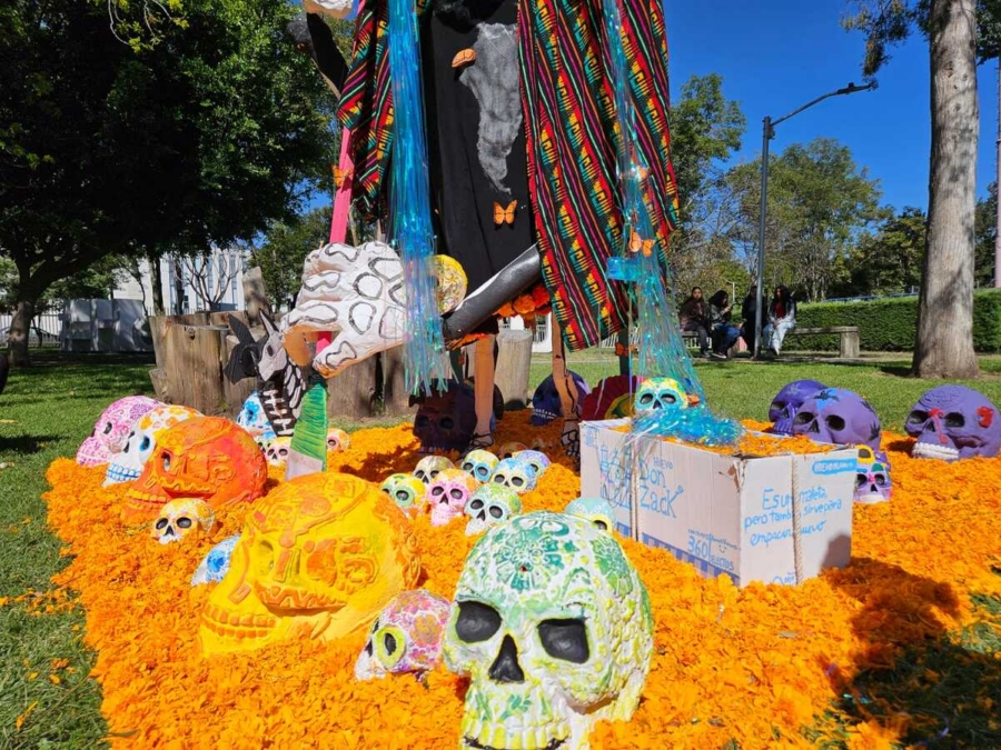 megaofrenda-1 (1)