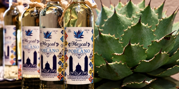 Ruta del Mezcal Puebla