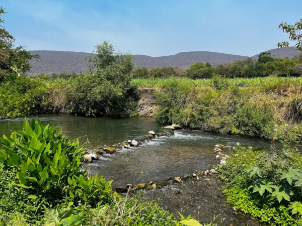 Pozas achipactli Temimilcingo